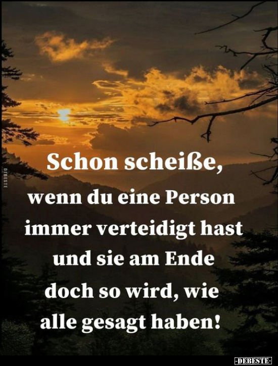 Schon schei*ße, wenn du eine Person immer verteidigt hast.. - Lustige Bilder | DEBESTE.de