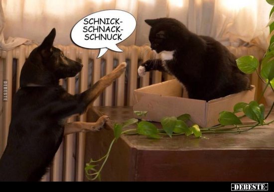 Schnick Schnack Schnuck..