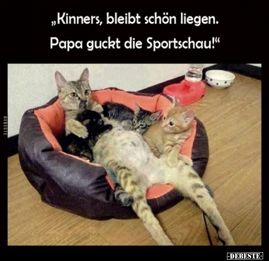 "Kinners, bleibt schön liegen.." - Lustige Bilder | DEBESTE.de