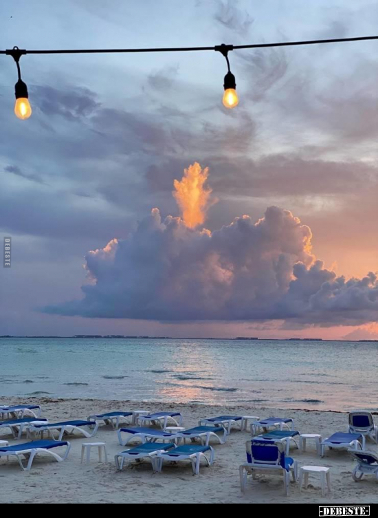  - Lustige Bilder | DEBESTE.de