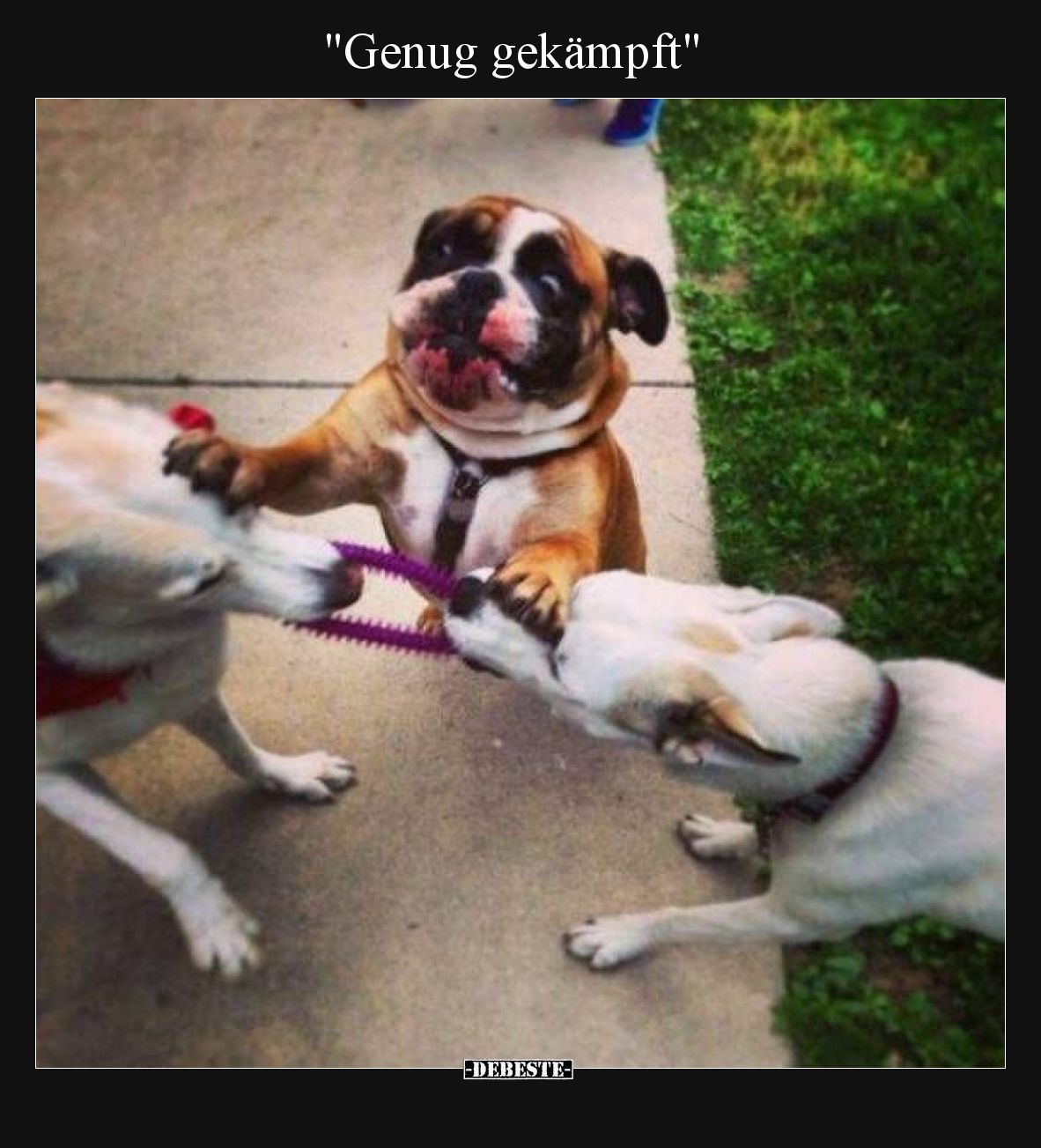 Genug gekämpft"