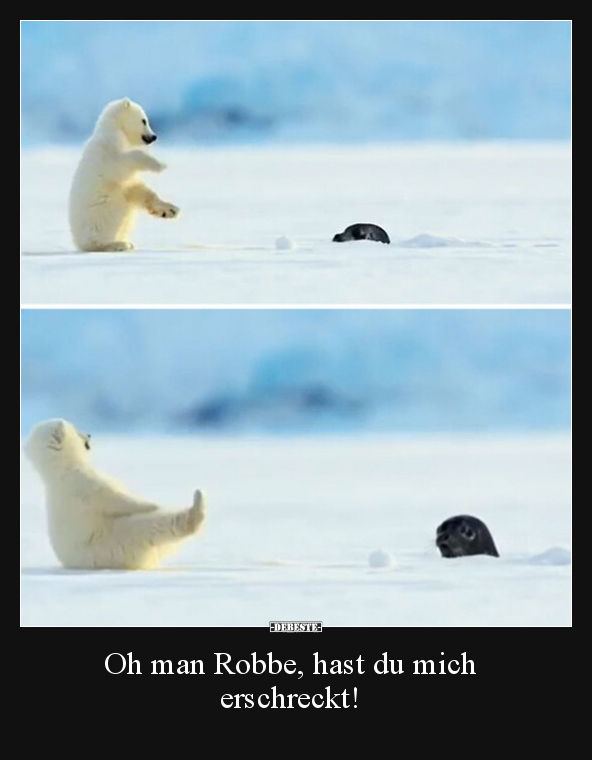 Oh man Robbe, hast du mich erschreckt!.. - Lustige Bilder | DEBESTE.de