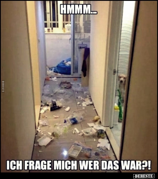 Hmmm... Ich frage mich, wer das war?!..