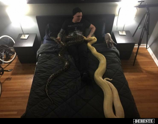  - Lustige Bilder | DEBESTE.de