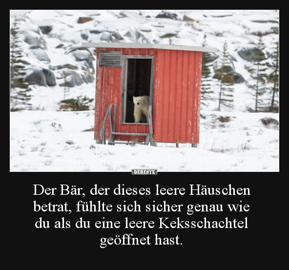 Der Bär, der dieses leere Häuschen betrat, fühlte sich.. - Lustige Bilder | DEBESTE.de