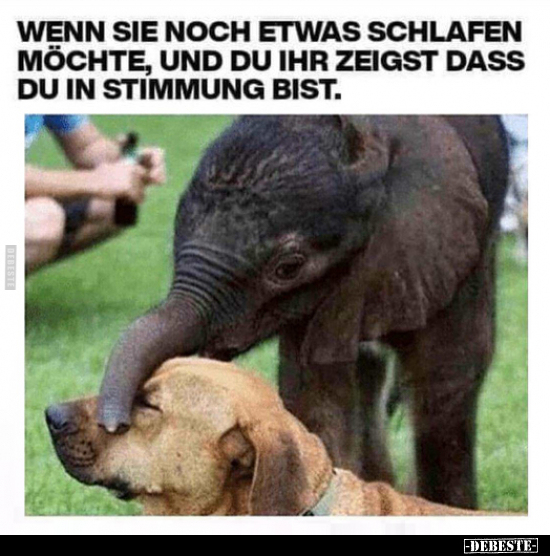 Wenn sie noch etwas schlafen möchte, und du ihr zeigst dass.. - Lustige Bilder | DEBESTE.de