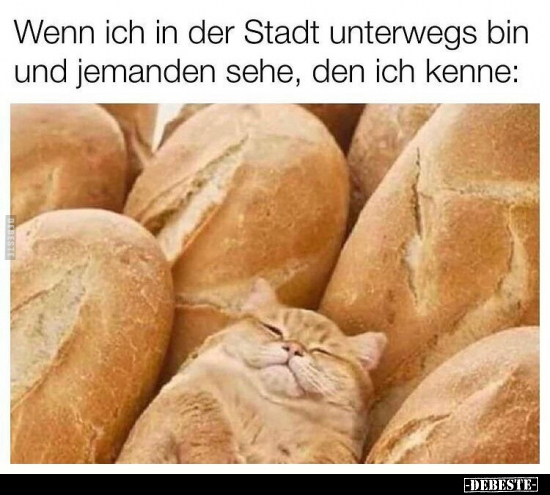 Wenn ich in der Stadt unterwegs bin und jemanden sehe, den.. - Lustige Bilder | DEBESTE.de