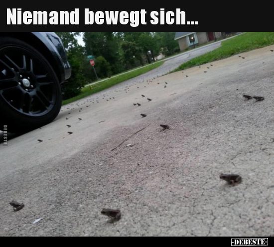 Niemand bewegt sich...