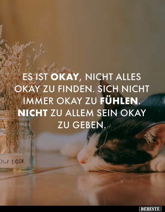 Es ist okay, nicht alles okay zu finden.. - Lustige Bilder | DEBESTE.de