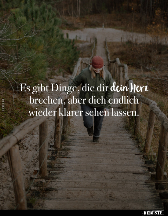 Es gibt Dinge, die dir dein Herz brechen.. - Lustige Bilder | DEBESTE.de