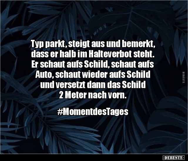 Typ parkt, steigt aus und bemerkt, dass er halb im.. - Lustige Bilder | DEBESTE.de