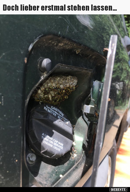 Doch lieber erstmal stehen lassen...