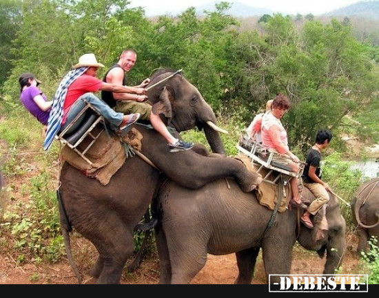  - Lustige Bilder | DEBESTE.de