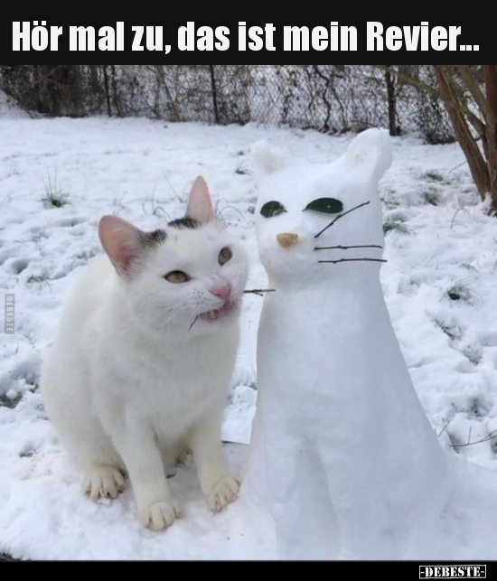 Hör mal zu, das ist mein Revier...