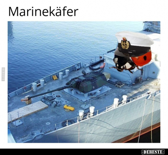 Marinekäfer.. - Lustige Bilder | DEBESTE.de