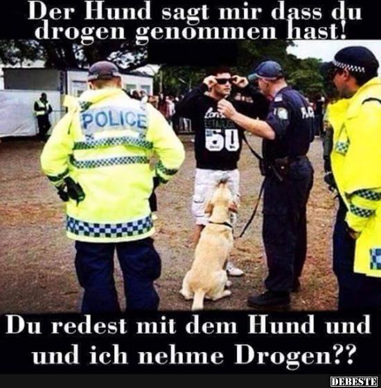 Der Hund sagt mir dass du drigen genommen hast! Lustige Bilder