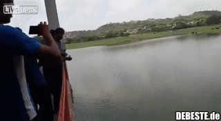 Ziemlich viele Fische..