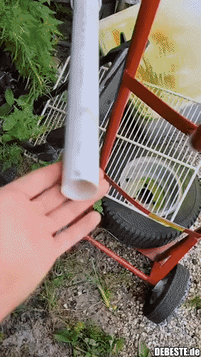  - Lustige Bilder | DEBESTE.de