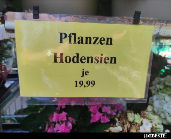 Pflanzen Hodensien.. - Lustige Bilder | DEBESTE.de