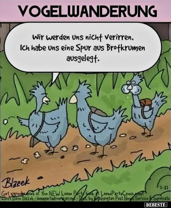 Vogelwanderung... - Lustige Bilder | DEBESTE.de