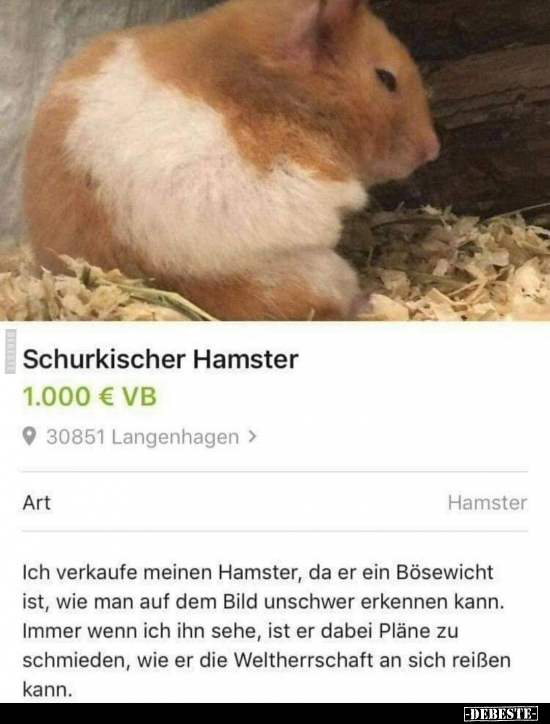 Schurkischer Hamster.. - Lustige Bilder | DEBESTE.de