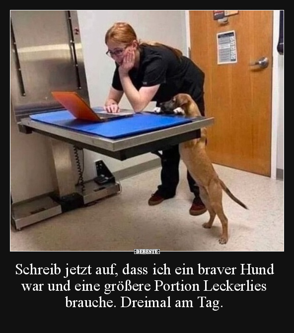 Hunde