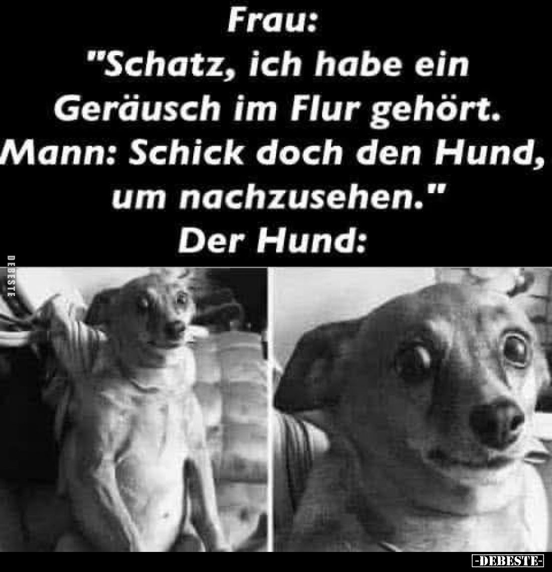Frau:
"Schatz, ich habe ein Geräusch im Flur gehört." Mann: "Schick doch den Hund, um nachzusehen."
Der...