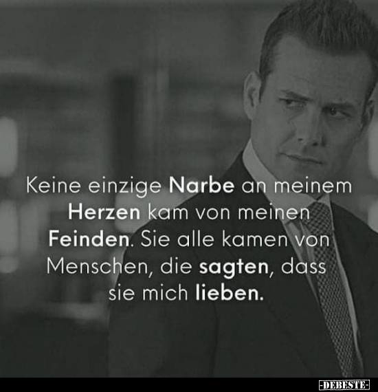 Keine einzige Narbe an meinem Herzen kam von meinen..