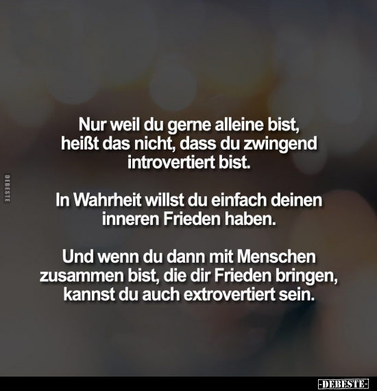 Nur weil du gerne alleine bist, heißt das nicht, dass du.. - Lustige Bilder | DEBESTE.de