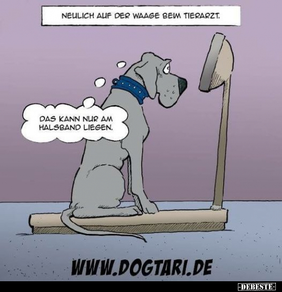 Neulich auf der Waage bem Tierarzt.. - Lustige Bilder | DEBESTE.de