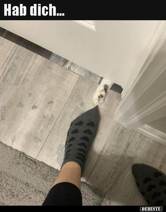 Hab dich...