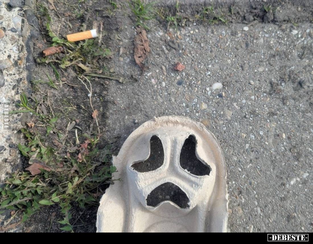  - Lustige Bilder | DEBESTE.de