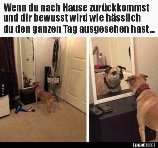 Wenn du nach Hause zurückkommst und dir bewusst wird wie..