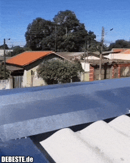 Einmal mit Profis...