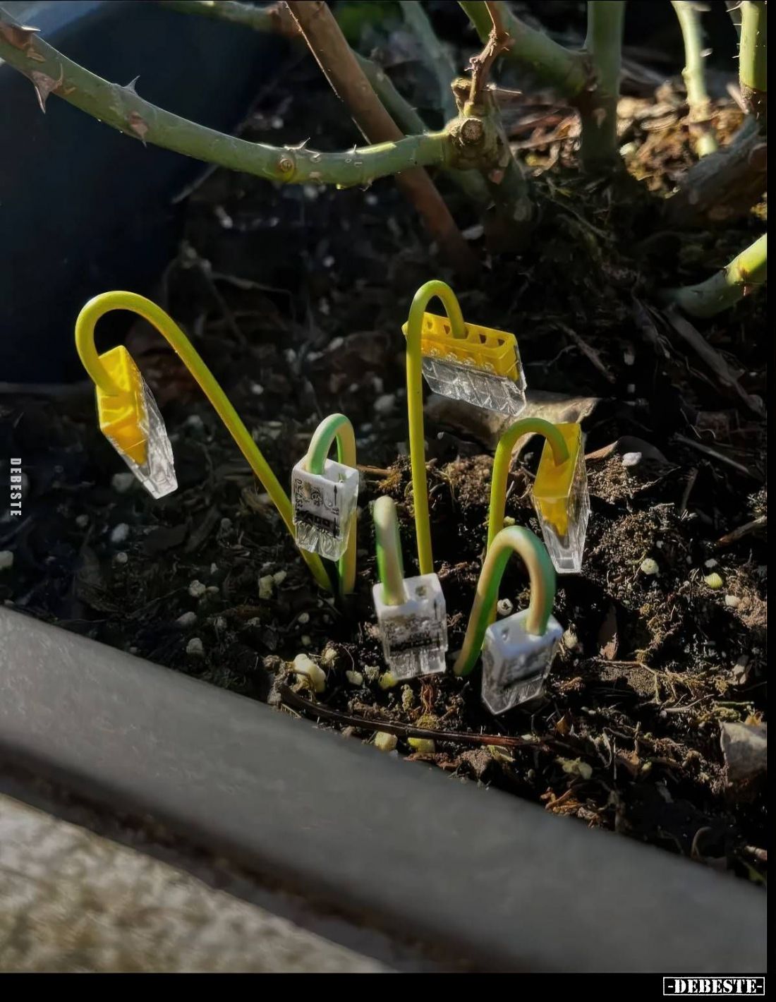 Spaß bei der Arbeit