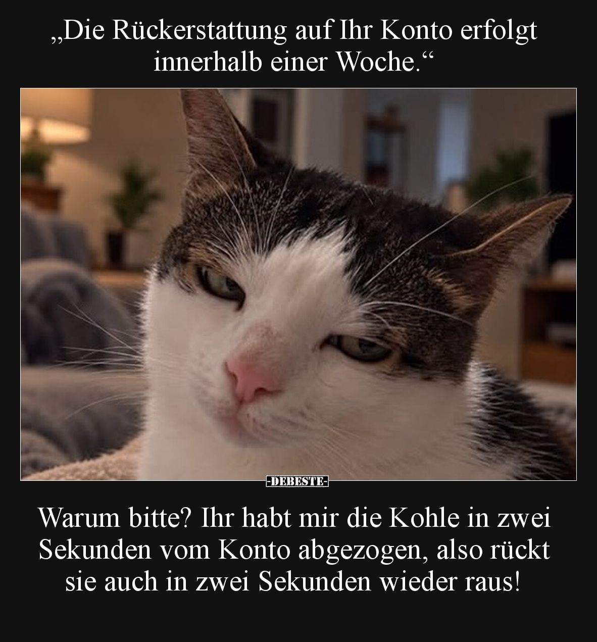 „Die Rückerstattung auf Ihr Konto erfolgt innerhalb einer Woche.“

Warum bitte? Ihr habt mir die Kohle in zwei Sekunden vom...