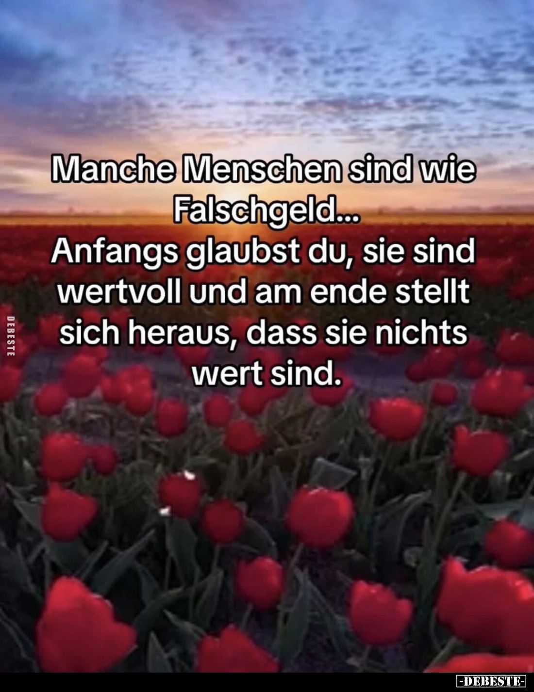 Manche Menschen sind wie Falschgeld... Anfangs glaubst du, sie sind wertvoll und am ende stellt sich heraus, dass sie nichts ...