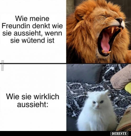 Wie meine Freundin denkt wie sie aussieht, wenn sie wütend..