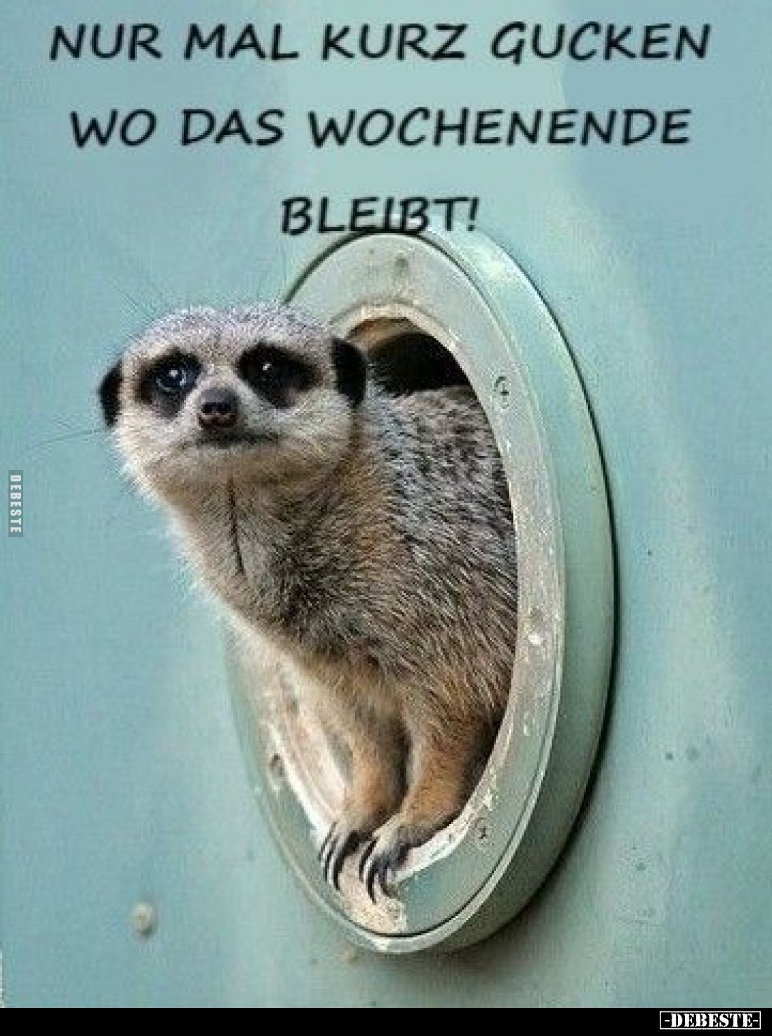 Nur mal kurz gucken wo das Wochenende bleibt!