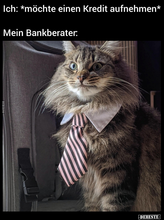 Ich: *möchte einen Kredit aufnehmen* Mein Bankberater.. - Lustige Bilder | DEBESTE.de