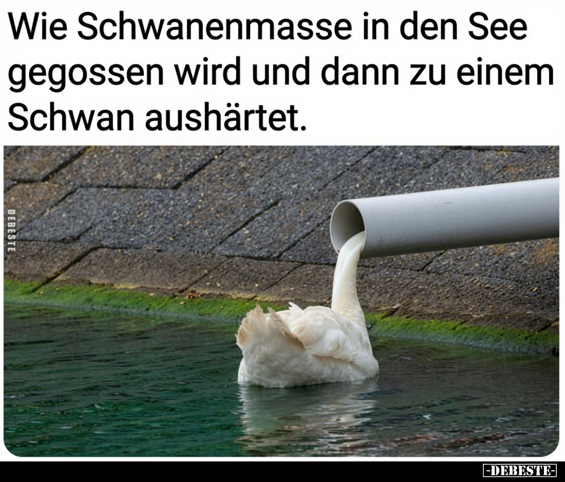 Wie Schwanenmasse in den See gegossen wird und dann zu einem Schwan aushärtet.