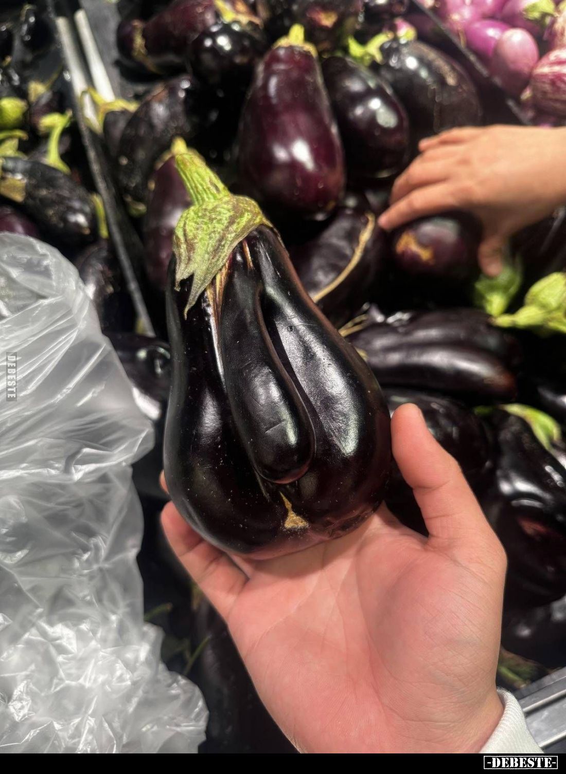  - Lustige Bilder | DEBESTE.de