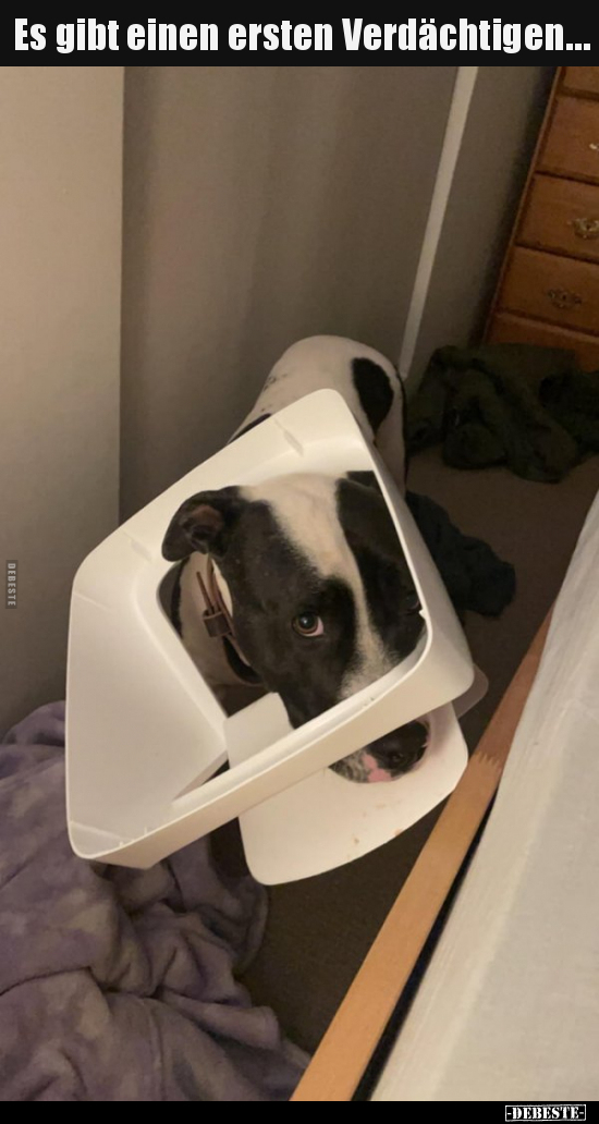 Es gibt einen ersten Verdächtigen…