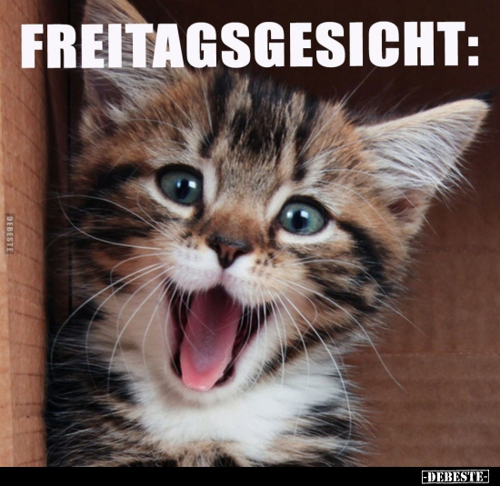 Freitagsgesicht.. - Lustige Bilder | DEBESTE.de