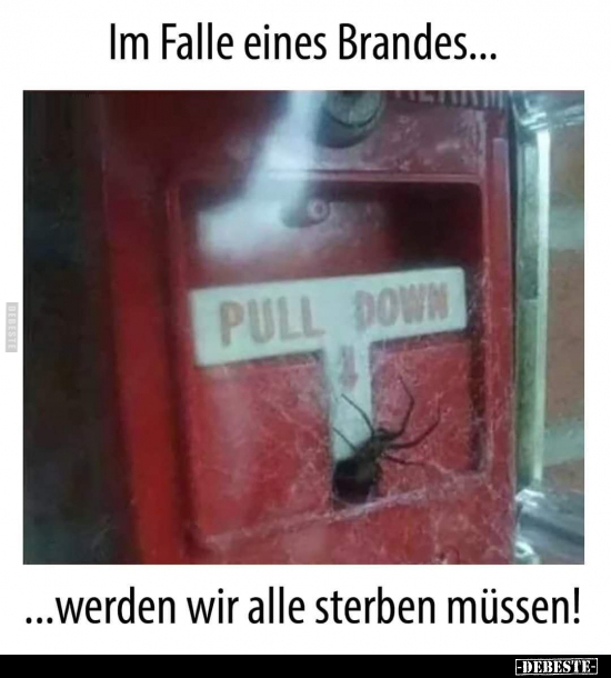 Im Falle eines Brandes... ...werden wir alle sterben.. - Lustige Bilder | DEBESTE.de