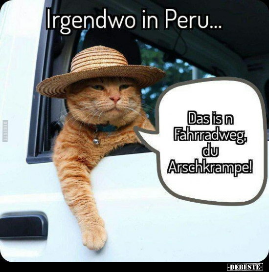 Irgendwo in Peru... - Lustige Bilder | DEBESTE.de