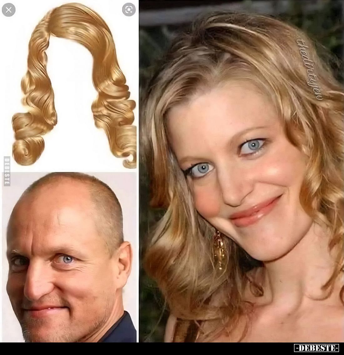  - Lustige Bilder | DEBESTE.de