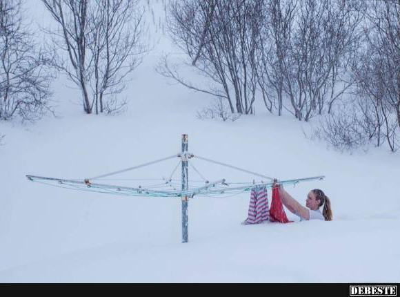  - Lustige Bilder | DEBESTE.de