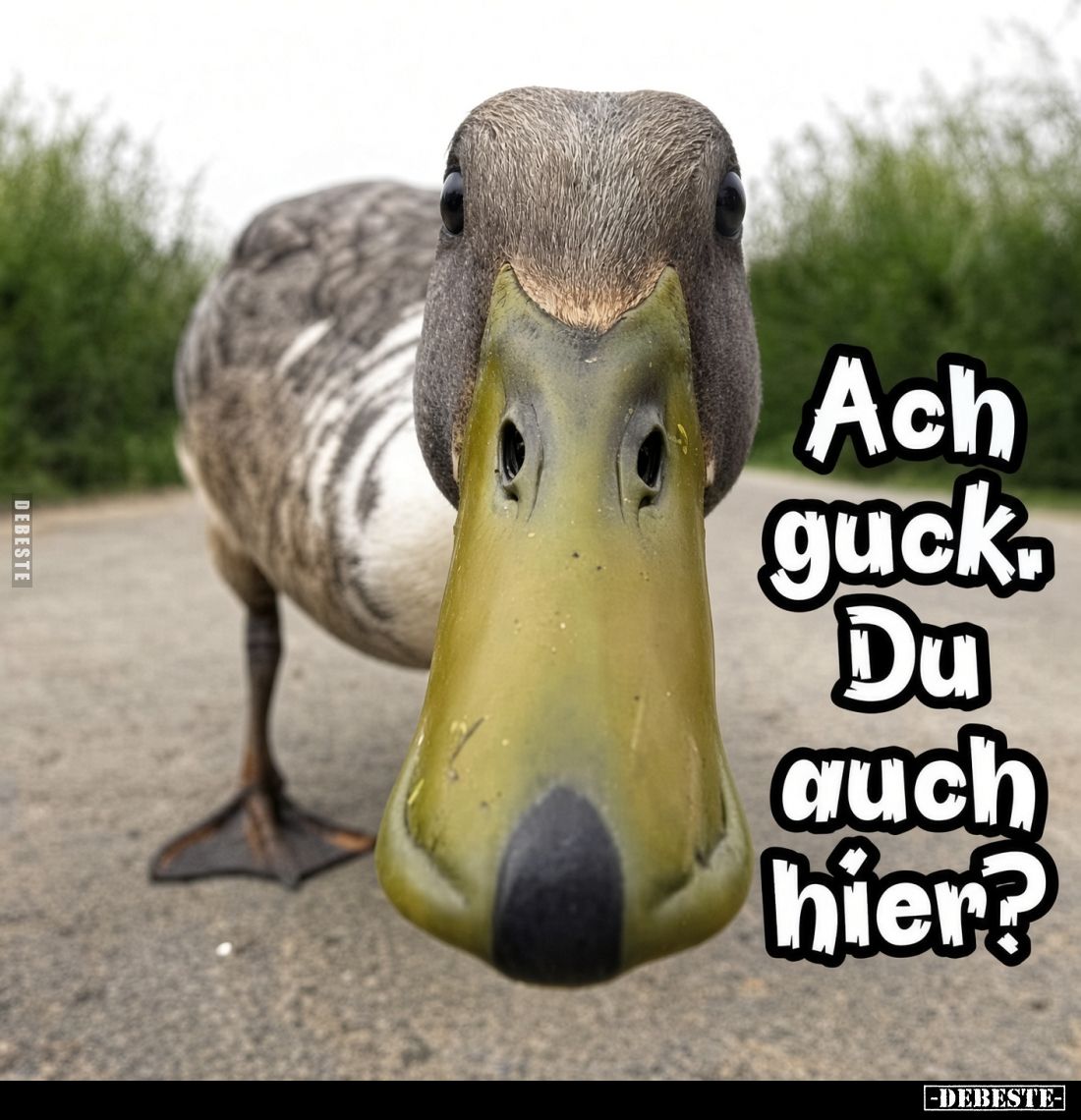 Ach guck. Du auch hier?