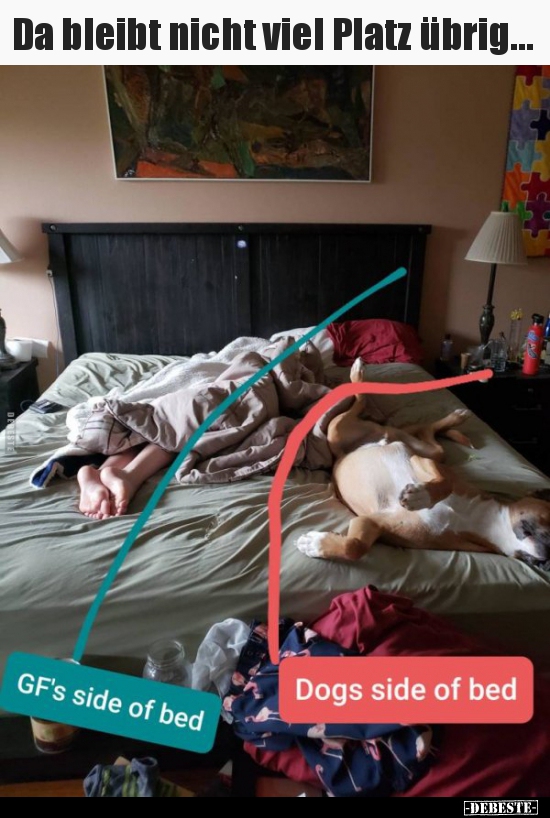 Da bleibt nicht viel Platz übrig...